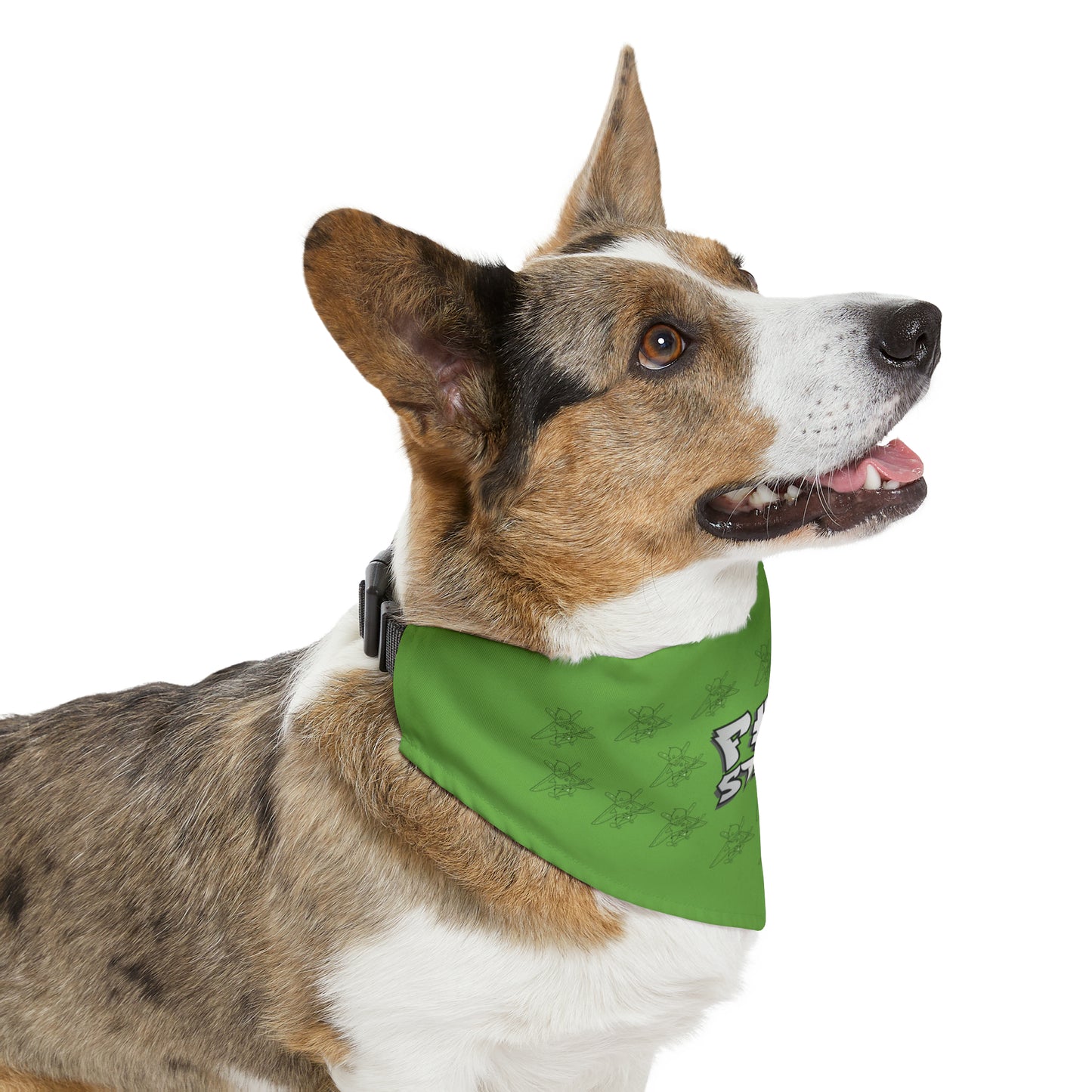 No Stress Pet Bandana Collar